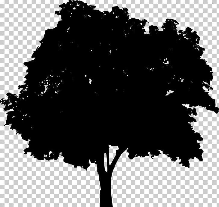 Brittany Silhouette PNG, Clipart, Animals, Black, Black And White, Branch, Brittany Free PNG Download