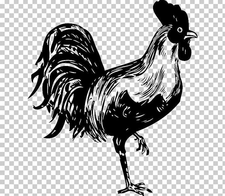 Chicken Rooster Stencil PNG, Clipart, Animals, Art, Beak, Bird, Black And White Free PNG Download