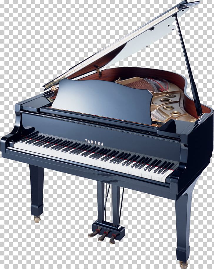 Grand Piano Musical Instruments PNG, Clipart, Celesta, Digital Piano, Electric Piano, Electronic Instrument, Electronic Musical Instrument Free PNG Download