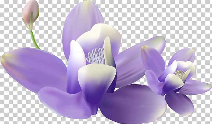 Mural Painting Wall PNG, Clipart, Art, Flower, Flowering Plant, Flowers, Interior Design Services Free PNG Download