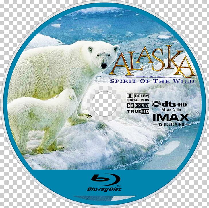 Polar Bear Blu-ray Disc 09738 Polar Ice Cap PNG, Clipart, Animals, Arctic, Bear, Bluray Disc, Carnivoran Free PNG Download