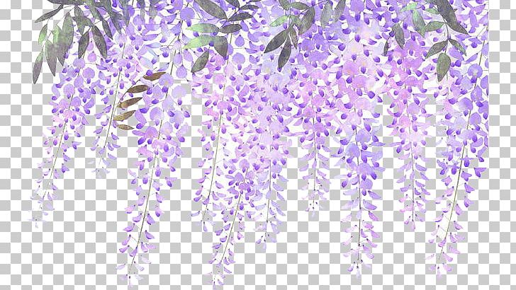 Lavender Flower Purple Wisteria PNG, Clipart, Branch, Dolan Twins, Drawn, Floral Design, Flowering Plant Free PNG Download