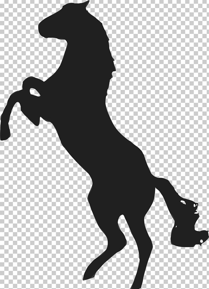 Mustang Stallion The Behaviour Of The Horse PNG, Clipart, Black, Carnivoran, Desktop Wallpaper, Dog Like Mammal, Encapsulated Postscript Free PNG Download