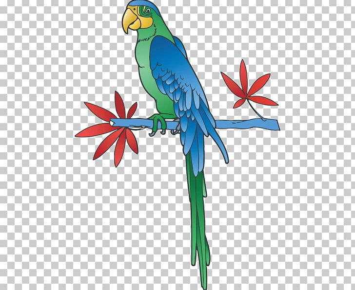 Parrot PNG, Clipart, Animals, Art, Balloon Cartoon, Beak, Bird Free PNG Download