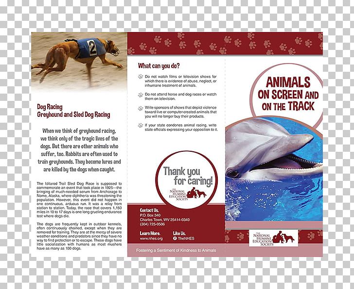 The Case For Animal Rights Introduction To Animal Rights Horse Empty Cages: Facing The Challenge Of Animal Rights Cruelty To Animals PNG, Clipart, Animal, Animal Rescue Group, Animal Rights, Animals, Brand Free PNG Download