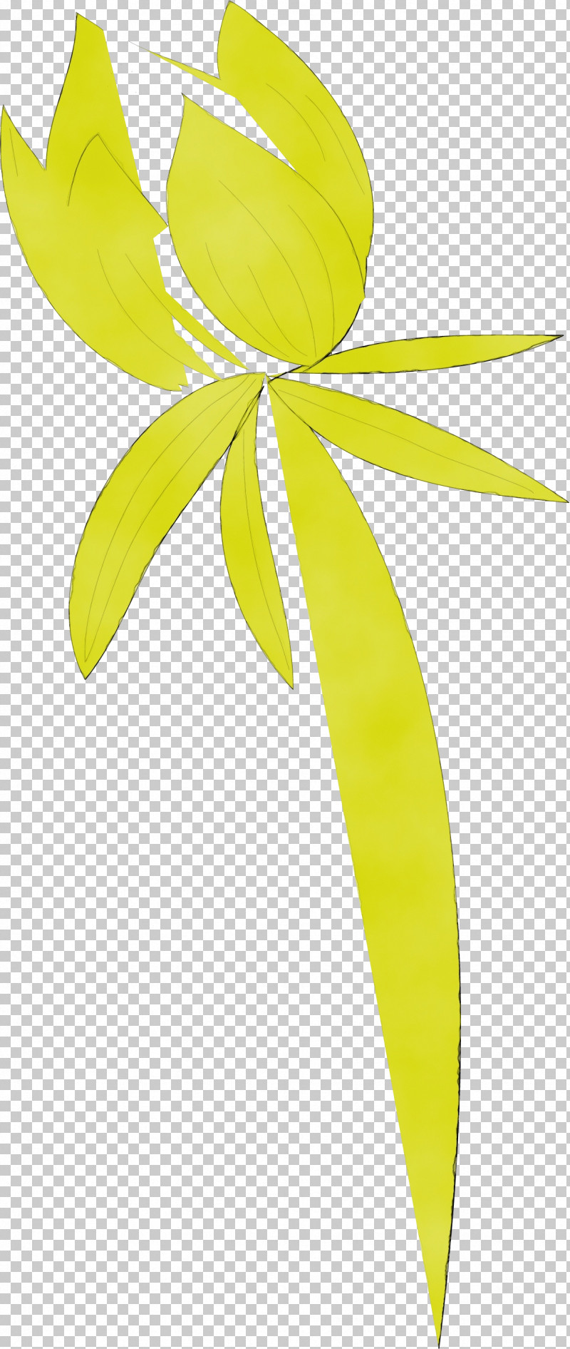 Plant Stem Leaf Yellow Line Meter PNG, Clipart, Flower, Leaf, Line, Meter, Paint Free PNG Download