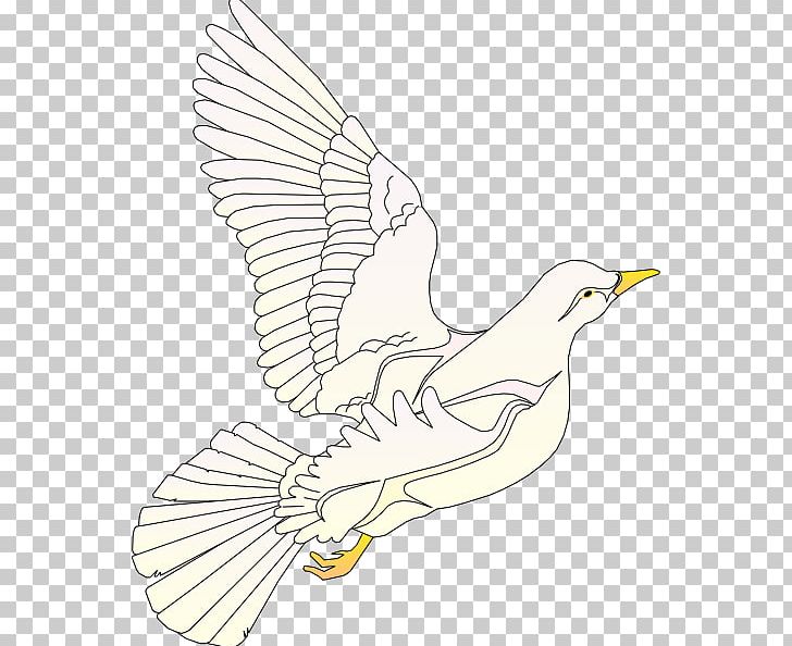 Beak Feather Line Art PNG, Clipart, Art, Artwork, Beak, Bird, Cartoon Free PNG Download