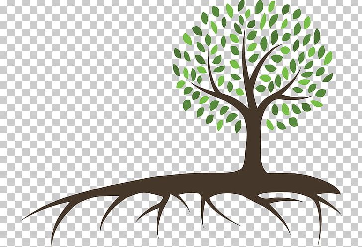 Branch Tree Of Life PNG, Clipart, Albero, Art, Artwork, Branch, Business Free PNG Download