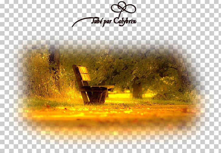 Desktop Desktop Metaphor PNG, Clipart, Android, Bench, Computer Wallpaper, Desktop Metaphor, Desktop Wallpaper Free PNG Download