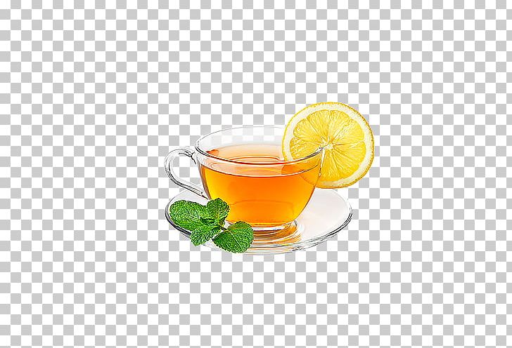 Green Tea Juice Ginger Tea Masala Chai PNG, Clipart, Citric Acid, Citrus, Coffee Cup, Cup, Drink Free PNG Download
