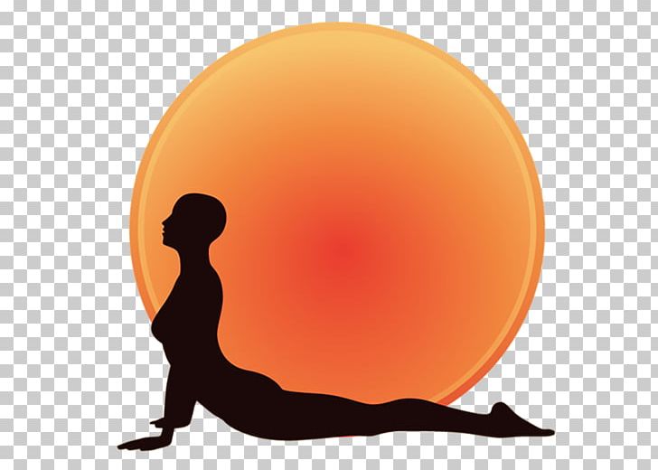 Physical Fitness Silhouette PNG, Clipart, Animals, Breath, Life Force, Orange, Physical Fitness Free PNG Download