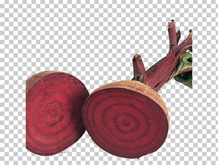 BBC Gardeners' World Wood Beetroot Sowing PNG, Clipart,  Free PNG Download