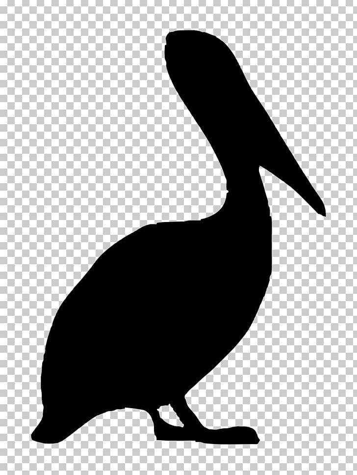 Bird Brown Pelican PNG, Clipart, Animals, Artwork, Beak, Bird, Black And White Free PNG Download