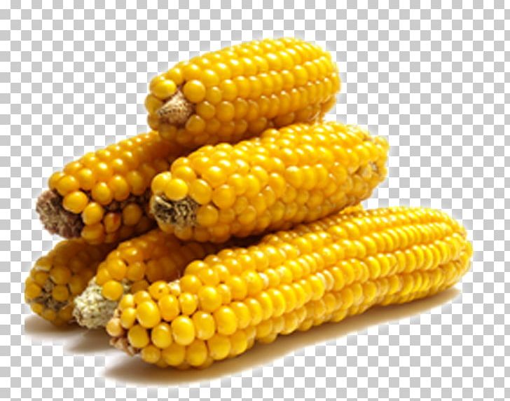 Corn On The Cob Maize Popcorn Kebab Vegetable PNG, Clipart, Cereal, Commodity, Corn, Corn Cartoon, Corn Flakes Free PNG Download
