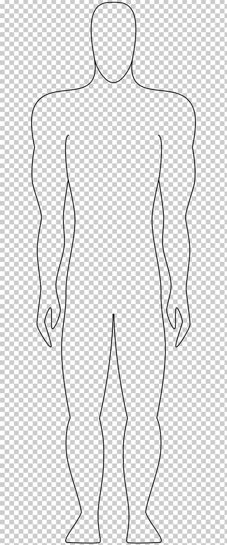 Human body artistic anatomy drawing side view  Stock Illustration  83465874  PIXTA