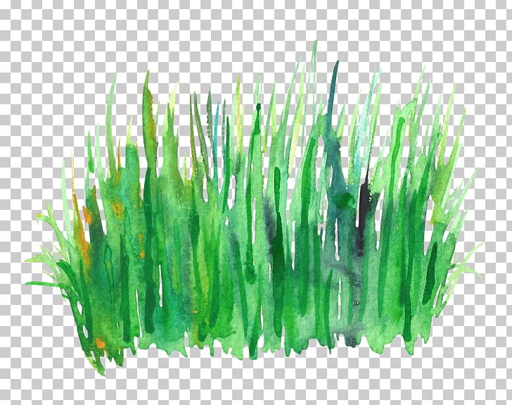 Green Watercolor Painting PNG, Clipart, Aquarium Decor, Drawing Plant, Encapsulated Postscript, Grass, Ink Wash Painting Free PNG Download