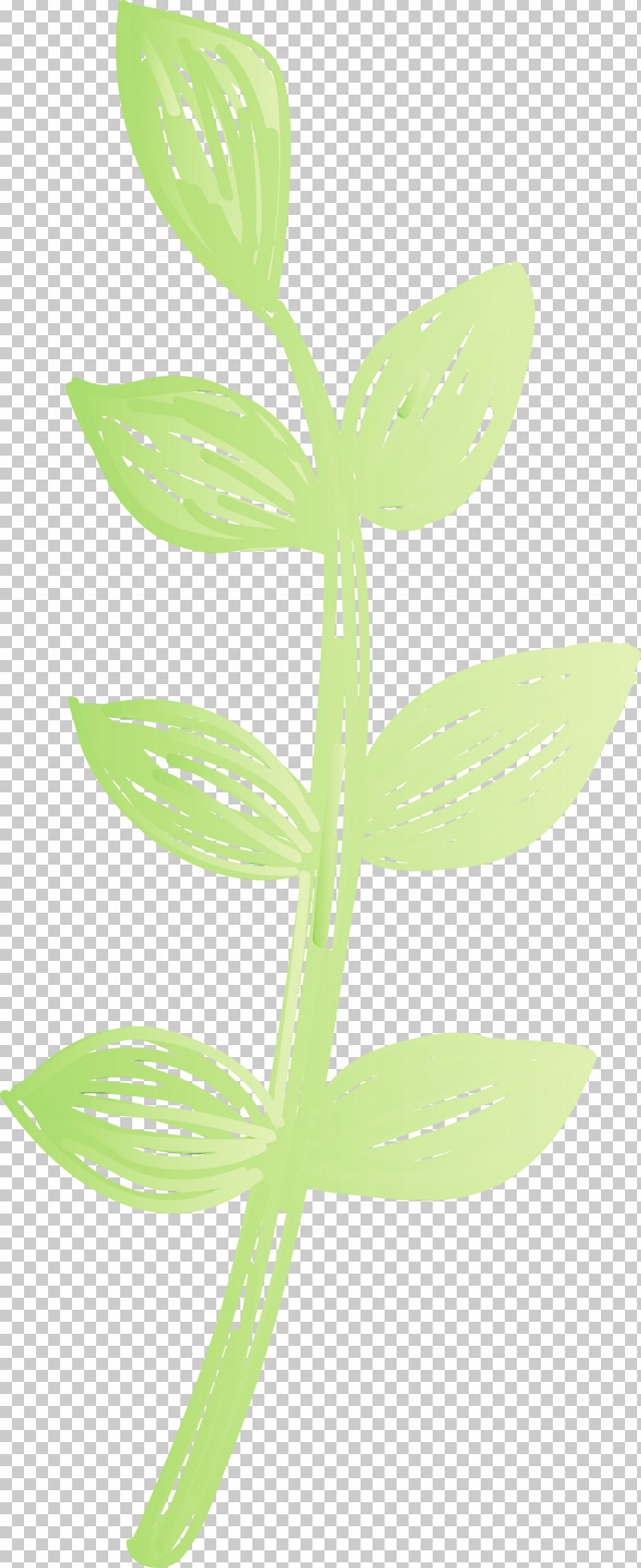 Leaf Plant Stem Flower Plants Science PNG, Clipart, Biology, Flower, Leaf, Mexico Elements, Paint Free PNG Download