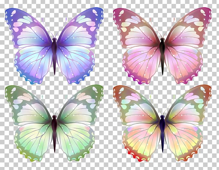 Butterfly PNG, Clipart, Antenna, Brush Footed Butterfly, Butterflies, Butterflies And Moths, Butterfly Free PNG Download