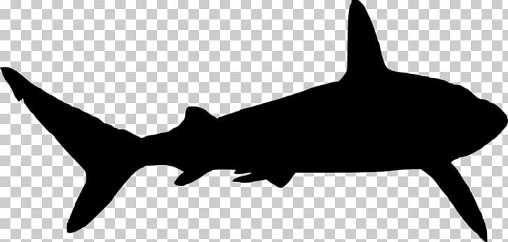 Great White Shark Silhouette PNG, Clipart, Animals, Carcharodon, Cartilaginous Fish, Drawing, Fauna Free PNG Download