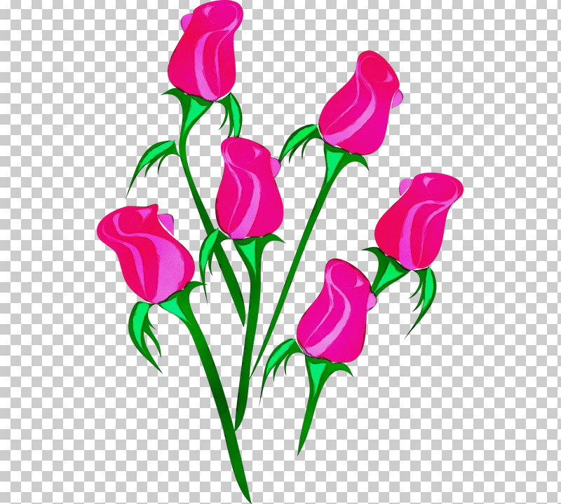 Flower Cut Flowers Pedicel Pink Plant PNG, Clipart, Cut Flowers, Flower, Magenta, Paint, Pedicel Free PNG Download