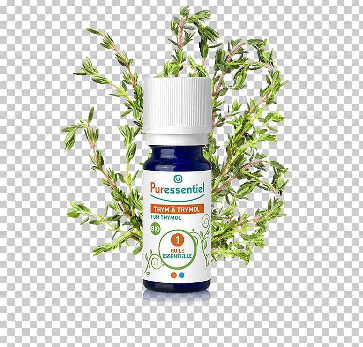 Essential Oil Thymol Aerosol Spray Humidifier PNG, Clipart, Aerosol Spray, Breathing, Cream, Essential Oil, Health Free PNG Download