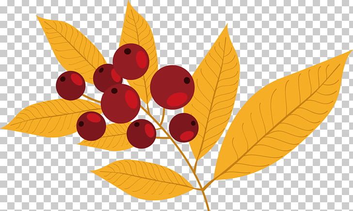 Frutti Di Bosco Auglis Autumn PNG, Clipart, Auglis, Autumn Leaves, Ber, Cartoon, Fall Leaves Free PNG Download