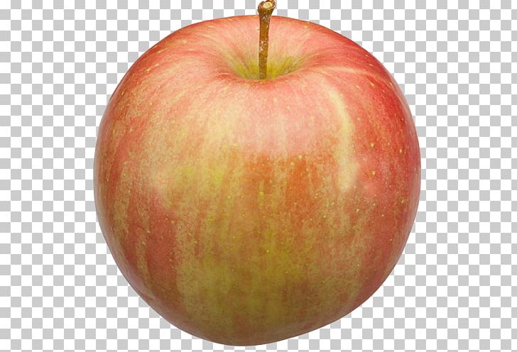 McIntosh Red Fuji Michigan Apple Ralls Janet PNG, Clipart, Accessory Fruit, Apple, Cider Mill, Food, Fruit Free PNG Download