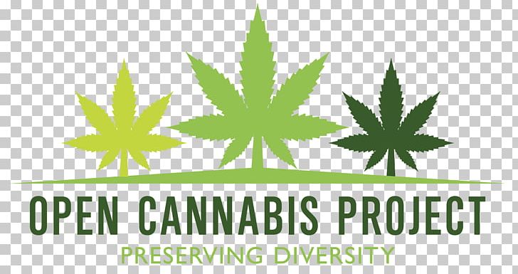 United States Kush Cannabis Cultivation Hemp PNG, Clipart, Brand, Cannabis, Cannabis Cultivation, Cannabis Sativa, Drug Free PNG Download