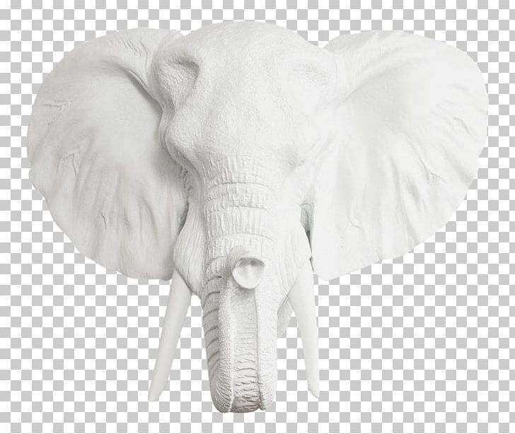Elephants African Elephant Lion Taxidermy Deer PNG, Clipart, African Elephant, Animal, Animals, Black And White, Ceramic Free PNG Download