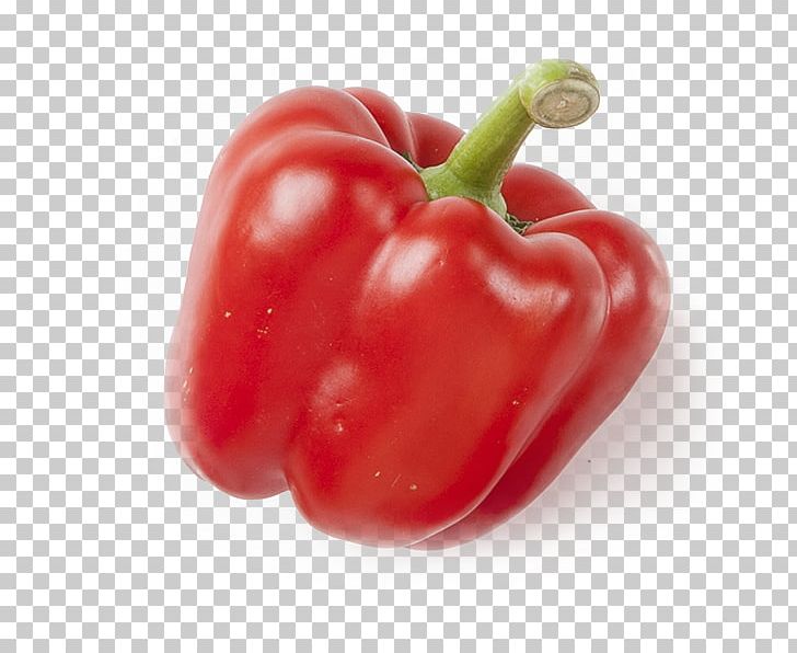 Habanero Piquillo Pepper Serrano Pepper Tabasco Pepper Cayenne Pepper PNG, Clipart, Accessory Fruit, Acerola, Bell Pepper, Bell Peppers And Chili Peppers, Chili Pepper Free PNG Download