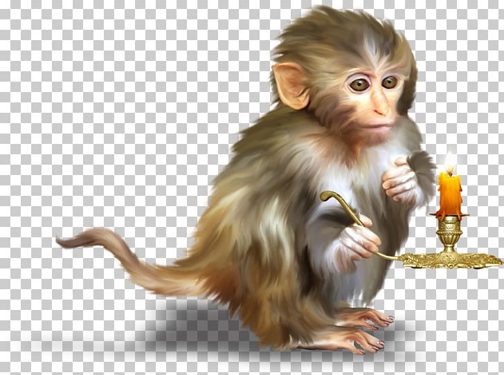 Monkey Orangutan PNG, Clipart, Animal, Candle, Download, Drawing, Encapsulated Postscript Free PNG Download