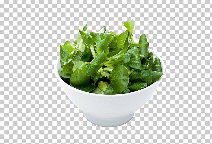 Romaine Lettuce Spring Greens Spinach Herb Leaf Vegetable PNG, Clipart, Flowerpot, Herb, Leaf Vegetable, Lettuce, Others Free PNG Download