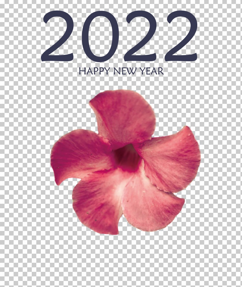 2022 Happy New Year 2022 New Year 2022 PNG, Clipart, Biology, Flower, Meter, Moth Orchids, Orchids Free PNG Download