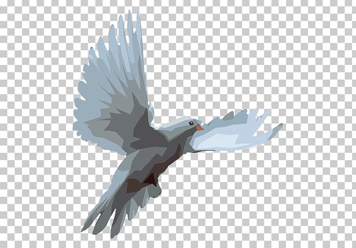 Columbidae Domestic Pigeon PNG, Clipart, Accipitriformes, Animals, Beak, Bird, Bird Of Prey Free PNG Download