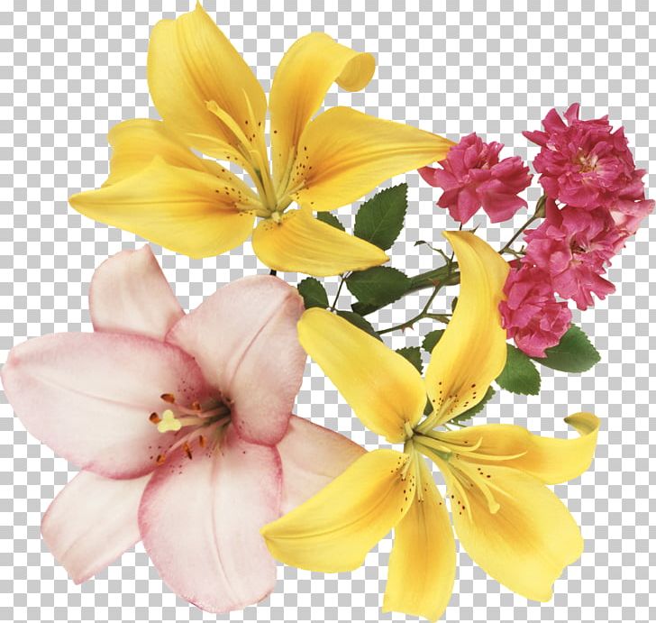 Festival Of The Flowers PNG, Clipart, Alstroemeriaceae, Blog, Cut Flowers, Festival Of The Flowers, Floral Design Free PNG Download