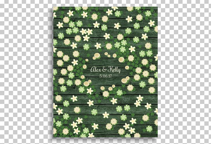 Plant Tree Green Flower PNG, Clipart, Flora, Flower, Food Drinks, Grass, Green Free PNG Download