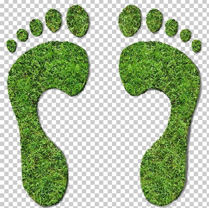 Carbon Footprint Ecological Footprint Carbon Neutrality Carbon Offset Greenhouse Gas PNG, Clipart, Carbon, Carbon Dioxide, Carbon Dioxide Equivalent, Ecology, Environment Free PNG Download