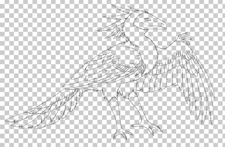 Feather Line Art Beak White Sketch PNG, Clipart, Animals, Archaeopteryx, Artwork, Beak, Bird Free PNG Download