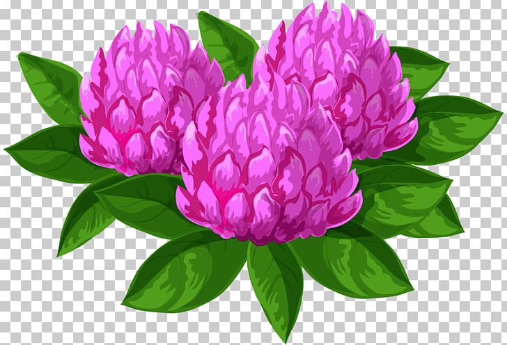 Flower PNG, Clipart, Art, Blog, Clip Art, Clipart, Computer Icons Free PNG Download