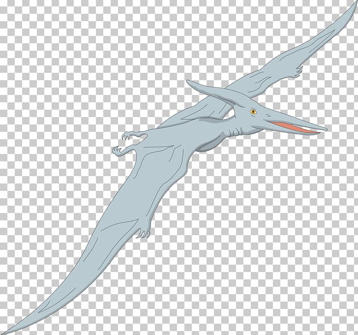 Pterodactyls Pteranodon Quetzalcoatlus Nyctosaurus Dimorphodon PNG, Clipart, Blue, Cold Weapon, Dinosaur, Fish, Flight Free PNG Download