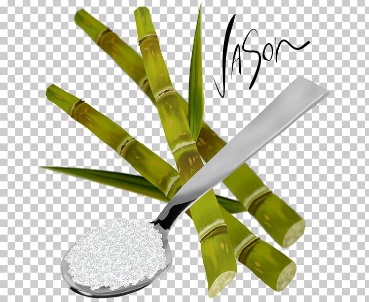 Sugarcane Juice Sugar Cookie PNG, Clipart, All Around The World, Biscuits, Cake, Carbohydrate, Cutlery Free PNG Download