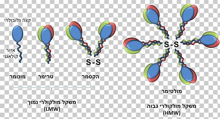 Adiponectin Structure Pixel Portable Network Graphics Computer File PNG, Clipart, Adiponectin, Body Jewelry, Diagram, Display Resolution, Fashion Accessory Free PNG Download