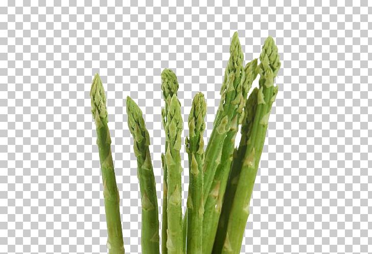 Asparagus Organic Food Green PNG, Clipart, Background Green, Bamboo, Bamboo Shoot, Bamboo Shoots, Computer Icons Free PNG Download