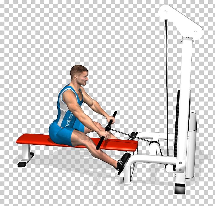 Exercise Fitness Centre Bent-over Row Muscle PNG, Clipart, Abdomen, Arm, Barbell, Bench, Bentover Row Free PNG Download