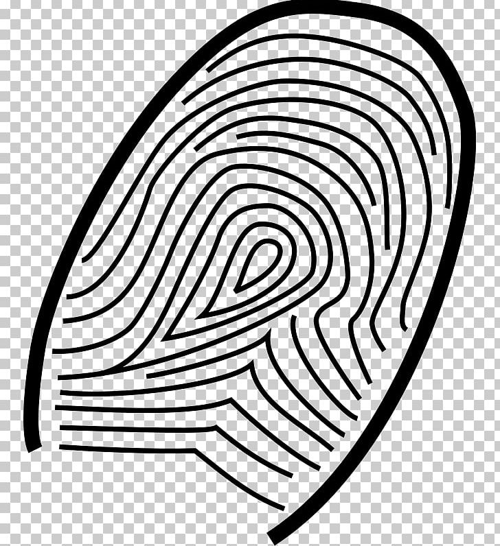 Fingerprint PNG, Clipart, Angle, Area, Black And White, Circle, Download Free PNG Download