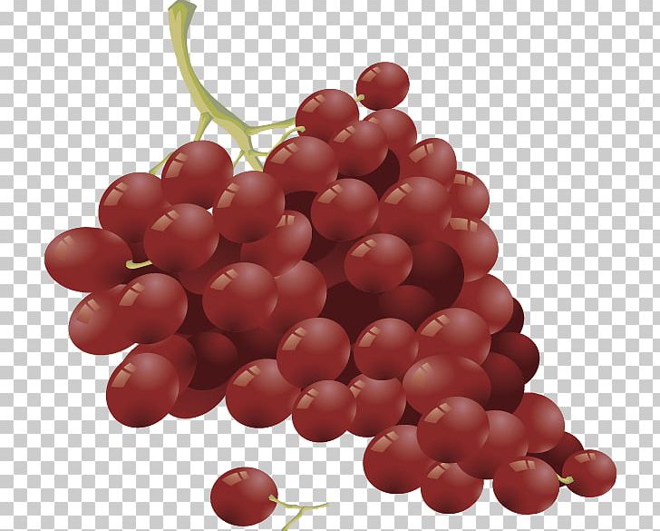 Wine Fruit Salad Common Grape Vine PNG, Clipart, Black Grapes, Cherry, Currant, Food, Fruit Free PNG Download