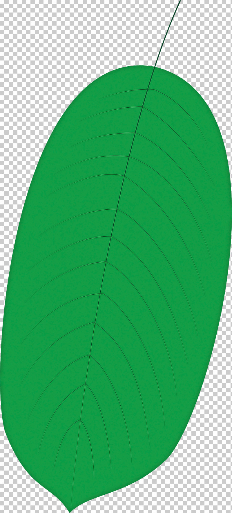 Leaf Green Biology Plant Structure Science PNG, Clipart, Biology, Green, Leaf, Plants, Plant Structure Free PNG Download