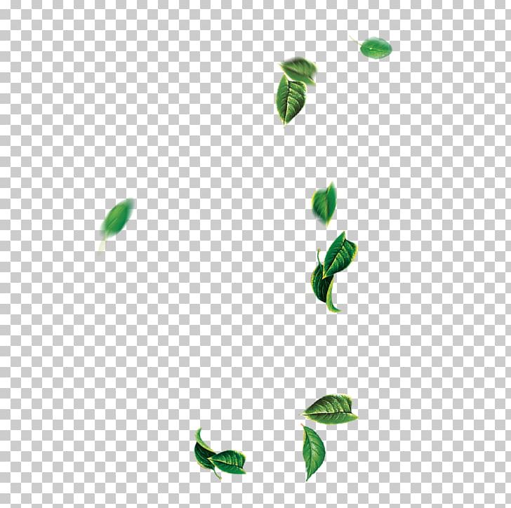Leaf Green Tree PNG, Clipart, Angle, Autumn Leaves, Banana Leaves, Designer, Download Free PNG Download