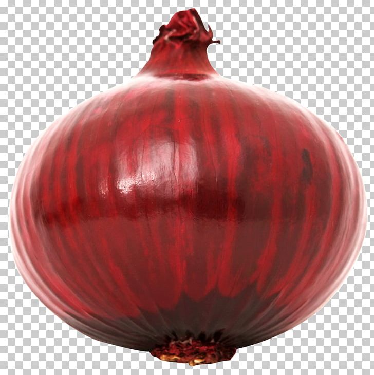 Red Onion Vegetable PNG, Clipart, Bulb Onion, Capsicum, Cooking, Food, French Onion Soup Free PNG Download