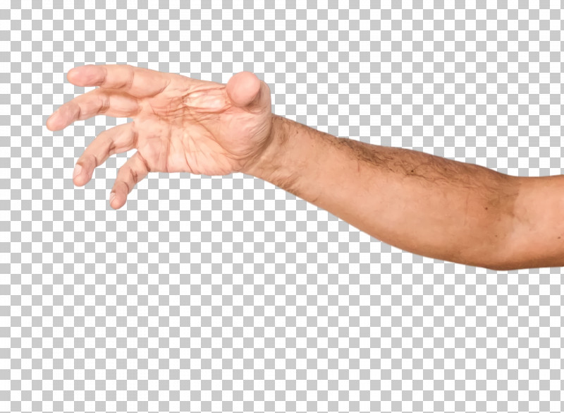Hand Model Nail Hand PNG, Clipart, Hand, Hand Model, Nail Free PNG Download